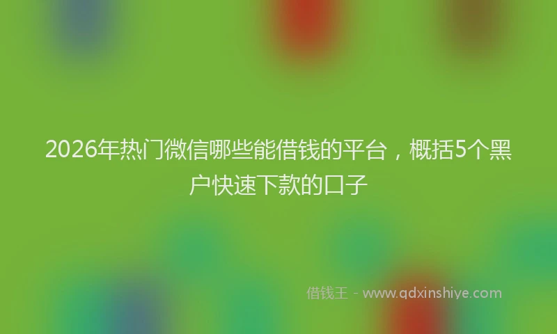 2026年热门微信哪些能借钱的平台，概括5个黑户快速下款的口子