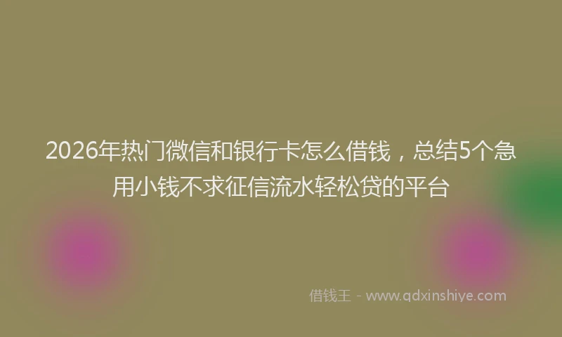 2026年热门微信和银行卡怎么借钱，总结5个急用小钱不求征信流水轻松贷的平台