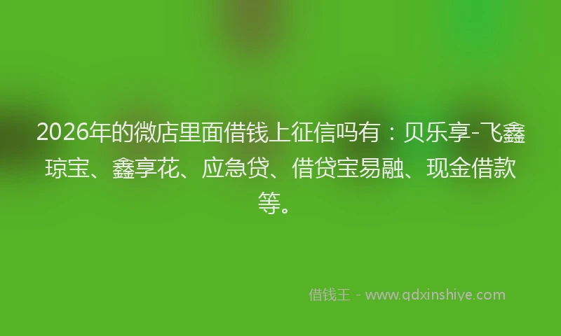 2026年的微店里面借钱上征信吗有：贝乐享-飞鑫琼宝、鑫享花、应急贷、借贷宝易融、现金借款等。