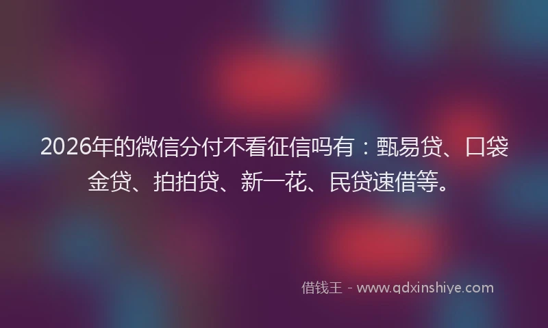 2026年的微信分付不看征信吗有:甄易贷、口袋金贷、拍拍贷、新一花、民贷速借等。