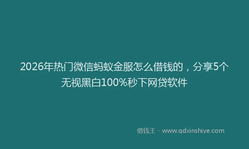 2026年热门微信蚂蚁金服怎么借钱的,分享5个无视黑白100%秒下网贷软件