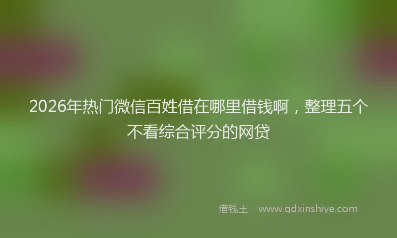 2026年热门微信百姓借在哪里借钱啊，整理五个不看综合评分的网贷