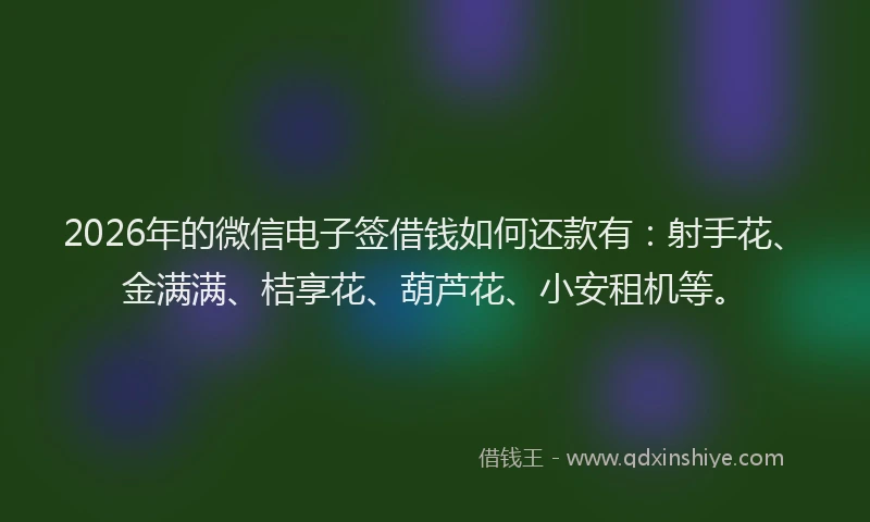 2026年的微信电子签借钱如何还款有：射手花、金满满、桔享花、葫芦花、小安租机等。