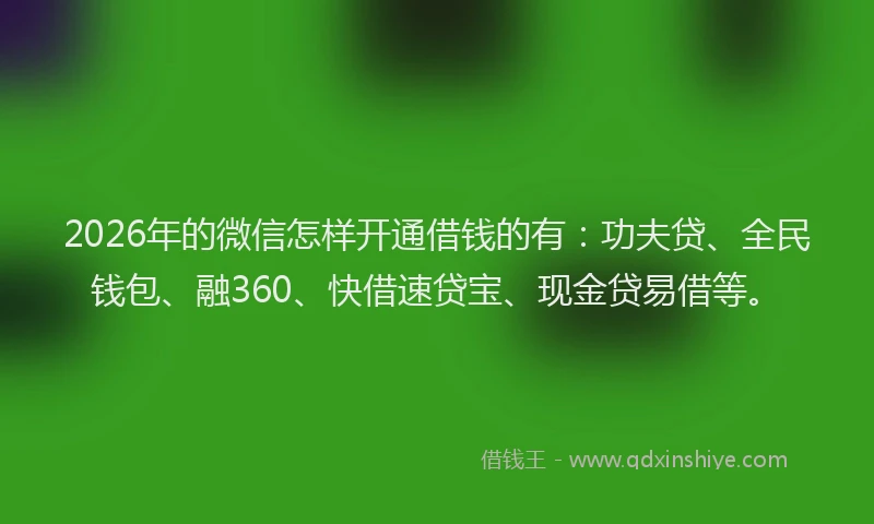 2026年的微信怎样开通借钱的有:功夫贷、全民钱包、融360、快借速贷宝、现金贷易借等。