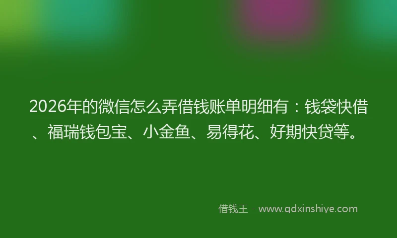 2026年的微信怎么弄借钱账单明细有：钱袋快借、福瑞钱包宝、小金鱼、易得花、好期快贷等。