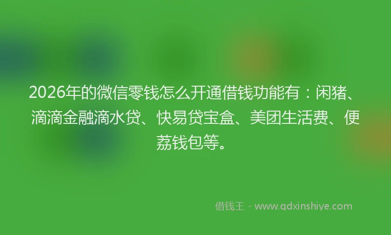 2026年的微信零钱怎么开通借钱功能有:闲猪、滴滴金融滴水贷、快易贷宝盒、美团生活费、便荔钱包等。