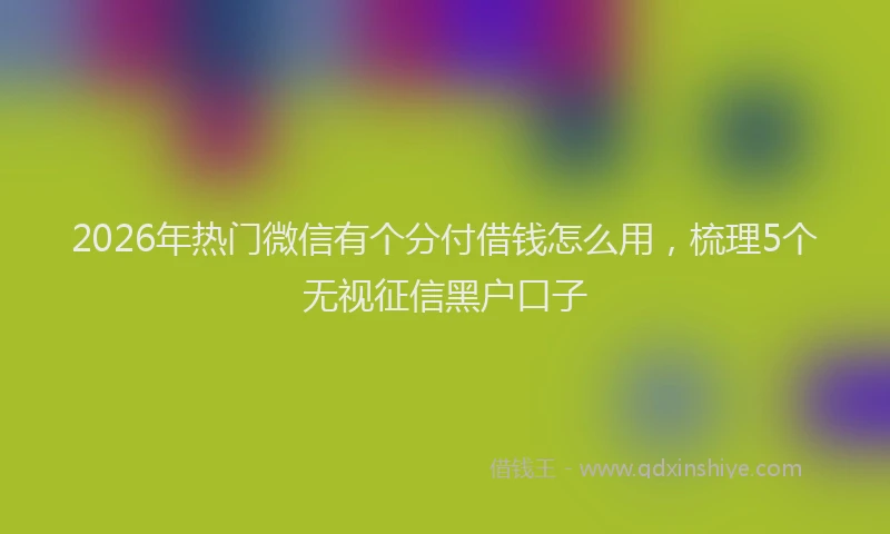 2026年热门微信有个分付借钱怎么用，梳理5个无视征信黑户口子