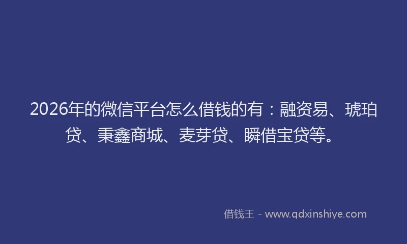 2026年的微信平台怎么借钱的有：融资易、琥珀贷、秉鑫商城、麦芽贷、瞬借宝贷等。