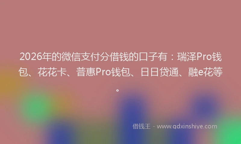 2026年的微信支付分借钱的口子有：瑞泽Pro钱包、花花卡、普惠Pro钱包、日日贷通、融e花等。