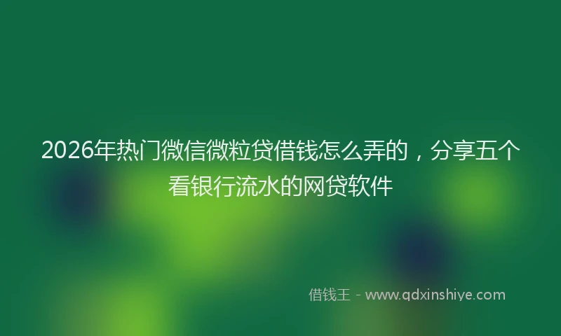 2026年热门微信微粒贷借钱怎么弄的，分享五个看银行流水的网贷软件