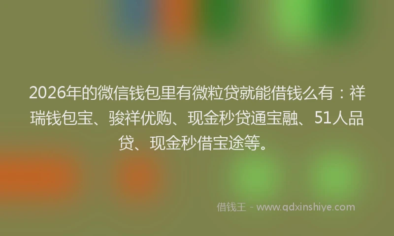 2026年的微信钱包里有微粒贷就能借钱么有：祥瑞钱包宝、骏祥优购、现金秒贷通宝融、51人品贷、现金秒借宝途等。