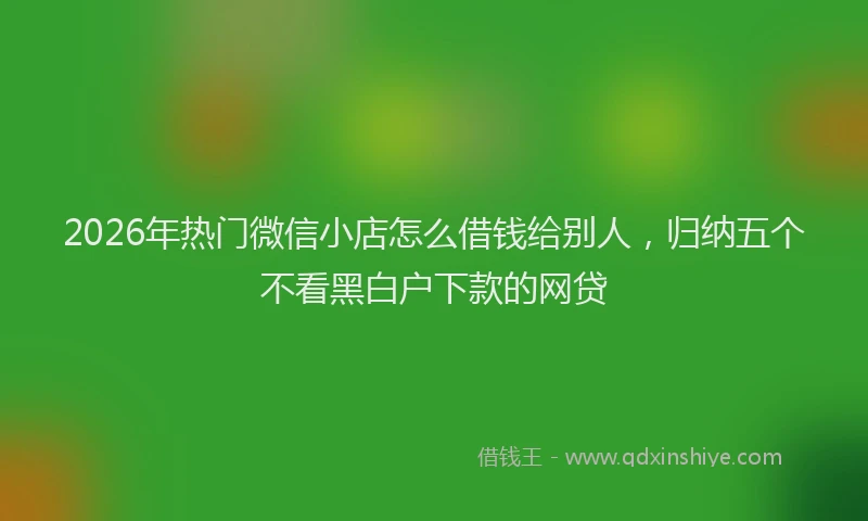 2026年热门微信小店怎么借钱给别人，归纳五个不看黑白户下款的网贷