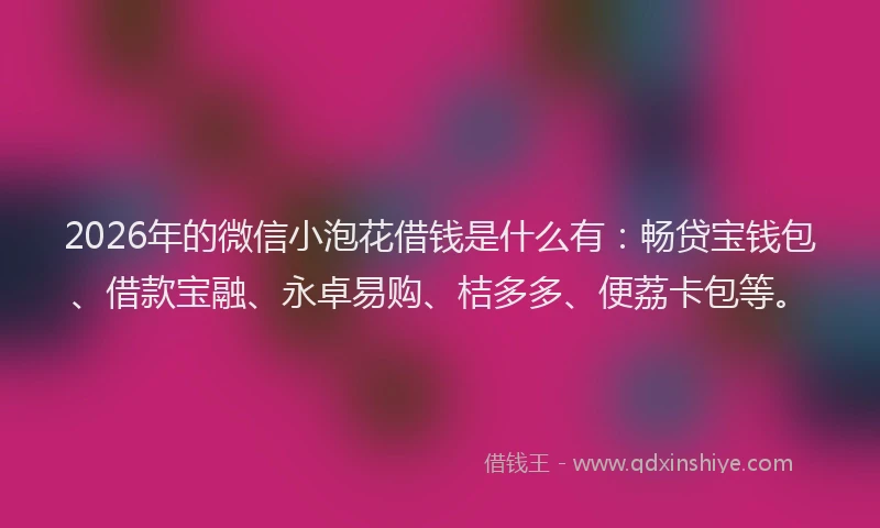 2026年的微信小泡花借钱是什么有：畅贷宝钱包、借款宝融、永卓易购、桔多多、便荔卡包等。