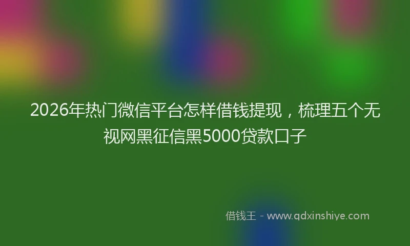 2026年热门微信平台怎样借钱提现，梳理五个无视网黑征信黑5000贷款口子