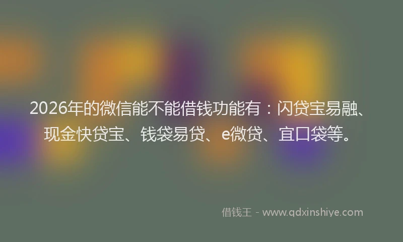2026年的微信能不能借钱功能有：闪贷宝易融、现金快贷宝、钱袋易贷、e微贷、宜口袋等。