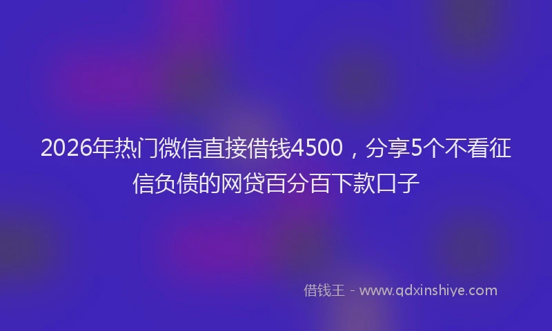 2026年热门微信直接借钱4500，分享5个不看征信负债的网贷百分百下款口子