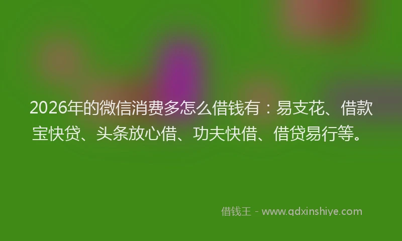 2026年的微信消费多怎么借钱有：易支花、借款宝快贷、头条放心借、功夫快借、借贷易行等。