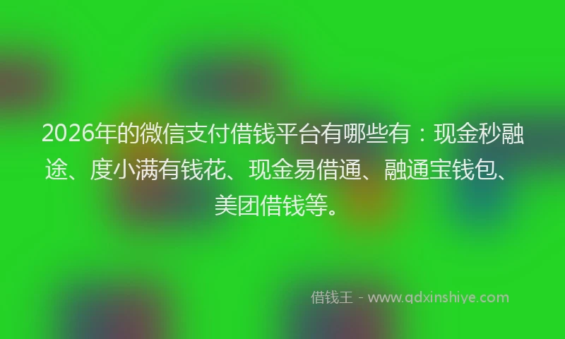 2026年的微信支付借钱平台有哪些有：现金秒融途、度小满有钱花、现金易借通、融通宝钱包、美团借钱等。