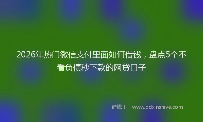 2026年热门微信支付里面如何借钱，盘点5个不看负债秒下款的网贷口子