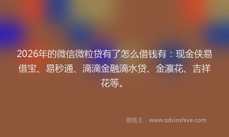 2026年的微信微粒贷有了怎么借钱有:现金侠易借宝、易秒通、滴滴金融滴水贷、金瀛花、吉祥花等。