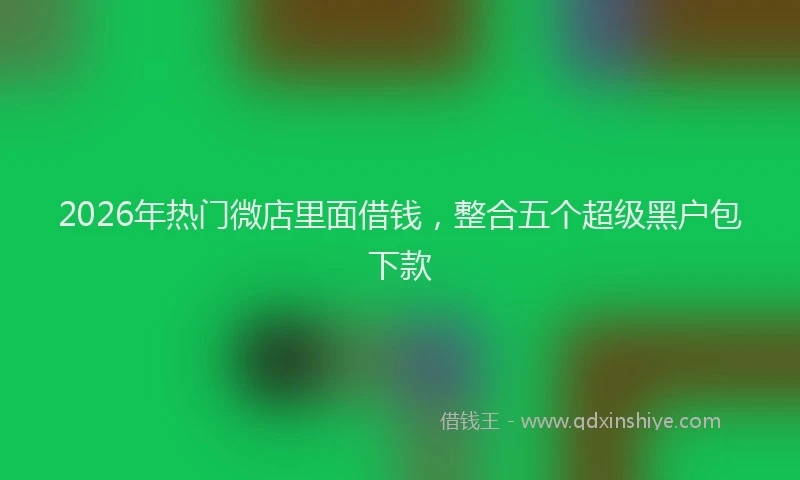 2026年热门微店里面借钱，整合五个超级黑户包下款