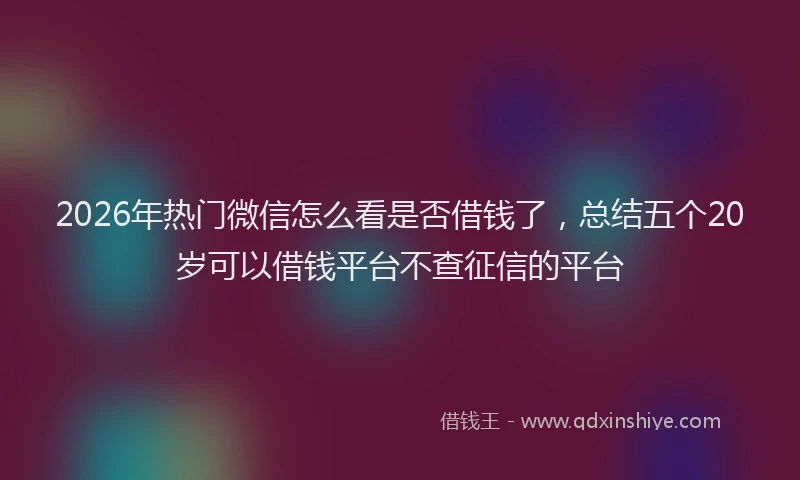 2026年热门微信怎么看是否借钱了，总结五个20岁可以借钱平台不查征信的平台