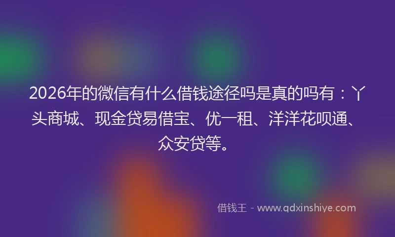 2026年的微信有什么借钱途径吗是真的吗有：丫头商城、现金贷易借宝、优一租、洋洋花呗通、众安贷等。
