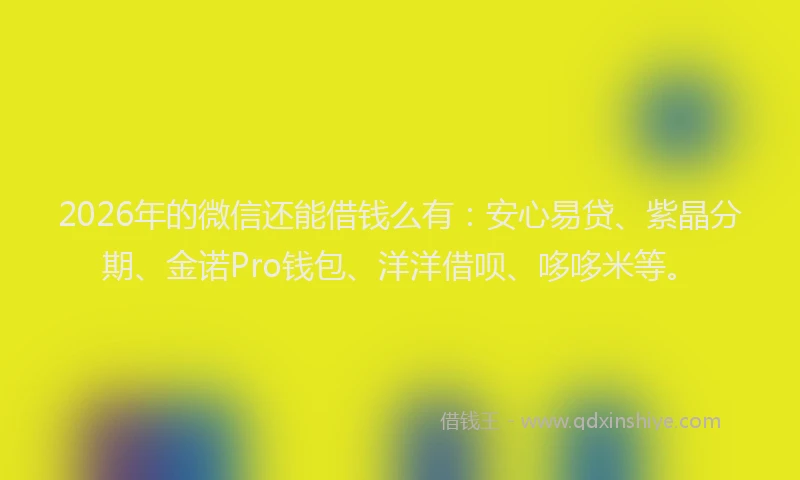2026年的微信还能借钱么有：安心易贷、紫晶分期、金诺Pro钱包、洋洋借呗、哆哆米等。