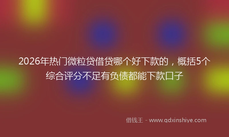 2026年热门微粒贷借贷哪个好下款的，概括5个综合评分不足有负债都能下款口子