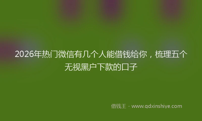 2026年热门微信有几个人能借钱给你，梳理五个无视黑户下款的口子