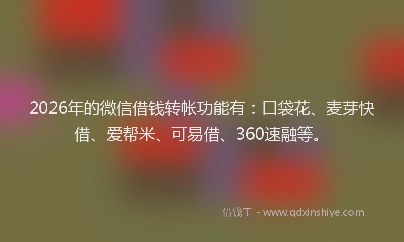 2026年的微信借钱转帐功能有：口袋花、麦芽快借、爱帮米、可易借、360速融等。