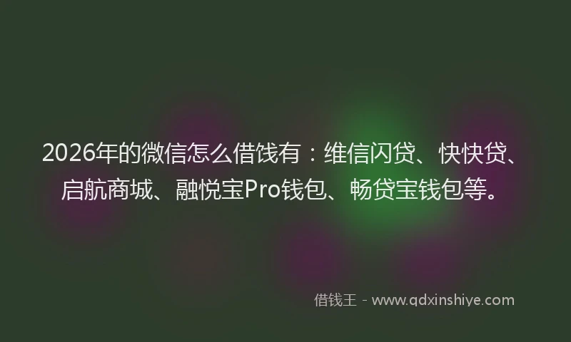 2026年的微信怎么借饯有：维信闪贷、快快贷、启航商城、融悦宝Pro钱包、畅贷宝钱包等。