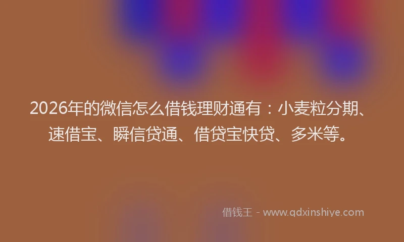 2026年的微信怎么借钱理财通有：小麦粒分期、速借宝、瞬信贷通、借贷宝快贷、多米等。