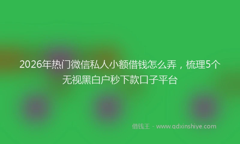 2026年热门微信私人小额借钱怎么弄，梳理5个无视黑白户秒下款口子平台