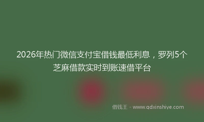 2026年热门微信支付宝借钱最低利息，罗列5个芝麻借款实时到账速借平台