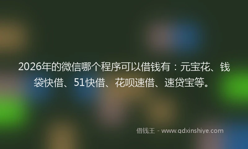 2026年的微信哪个程序可以借钱有：元宝花、钱袋快借、51快借、花呗速借、速贷宝等。