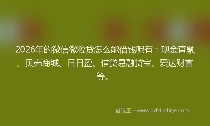 2026年的微信微粒贷怎么能借钱呢有：现金直融、贝壳商城、日日盈、借贷易融贷宝、爱达财富等。