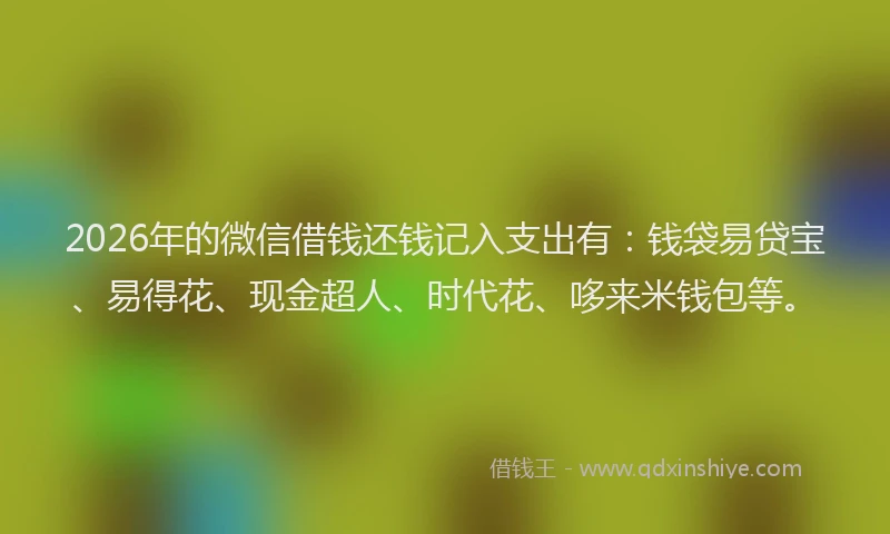 2026年的微信借钱还钱记入支出有：钱袋易贷宝、易得花、现金超人、时代花、哆来米钱包等。