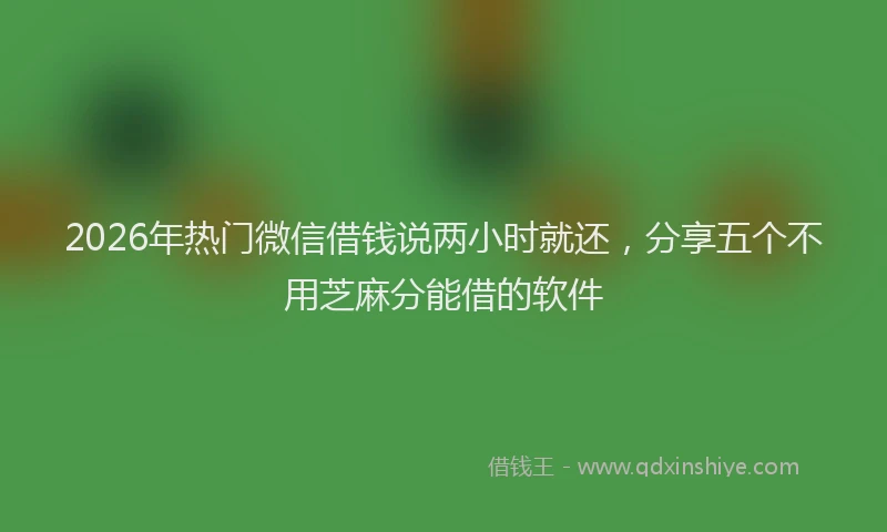 2026年热门微信借钱说两小时就还，分享五个不用芝麻分能借的软件