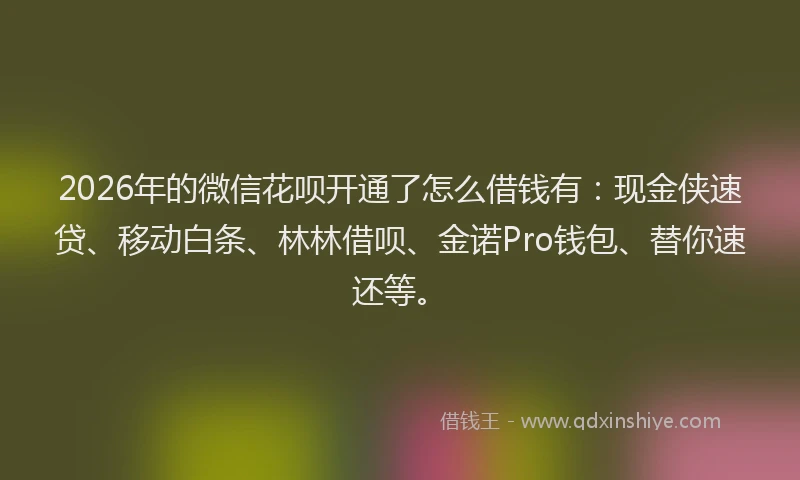 2026年的微信花呗开通了怎么借钱有：现金侠速贷、移动白条、林林借呗、金诺Pro钱包、替你速还等。