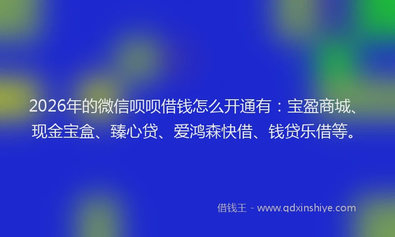 2026年的微信呗呗借钱怎么开通有：宝盈商城、现金宝盒、臻心贷、爱鸿森快借、钱贷乐借等。