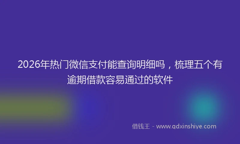 2026年热门微信支付能查询明细吗，梳理五个有逾期借款容易通过的软件