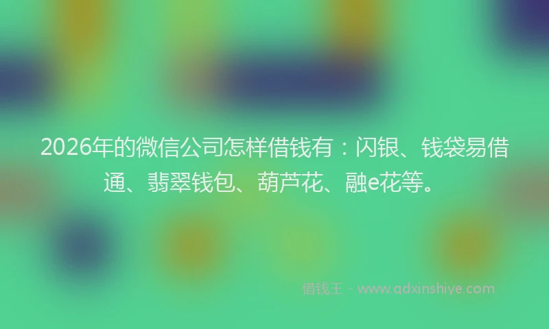 2026年的微信公司怎样借钱有：闪银、钱袋易借通、翡翠钱包、葫芦花、融e花等。