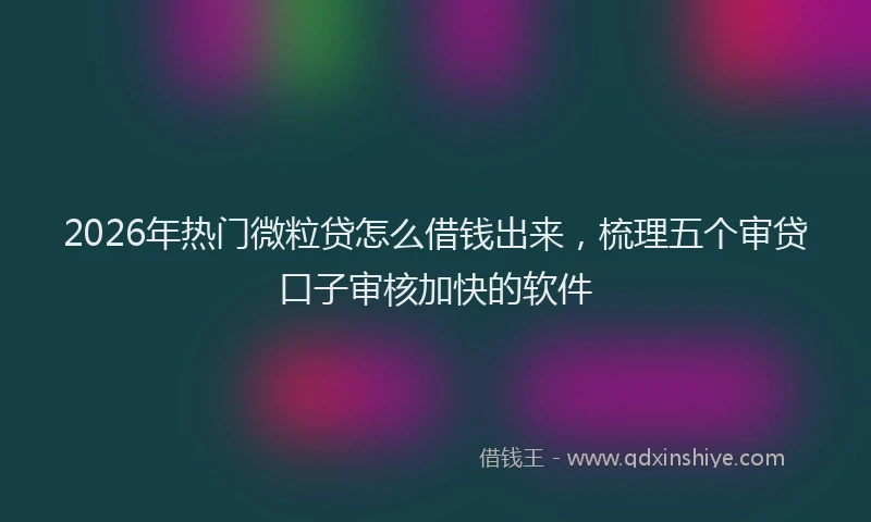 2026年热门微粒贷怎么借钱出来，梳理五个审贷口子审核加快的软件