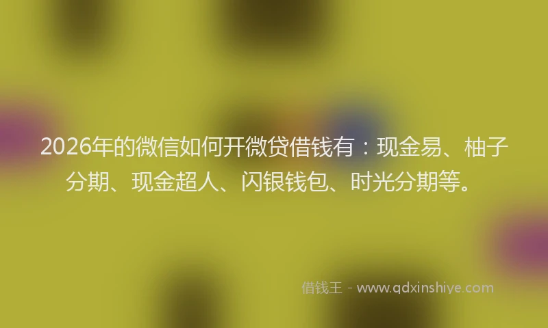 2026年的微信如何开微贷借钱有:现金易、柚子分期、现金超人、闪银钱包、时光分期等。