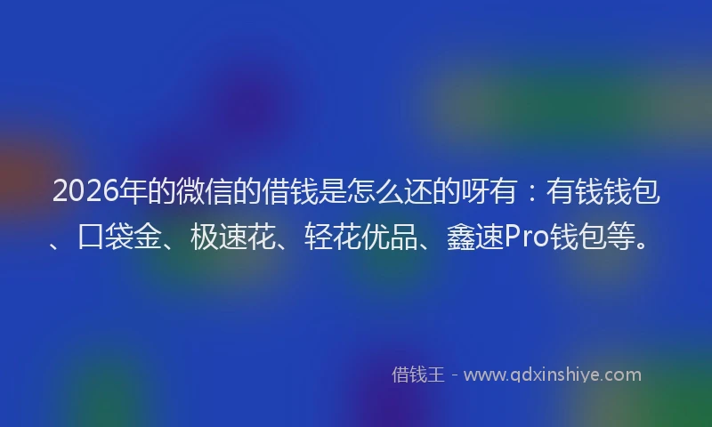 2026年的微信的借钱是怎么还的呀有：有钱钱包、口袋金、极速花、轻花优品、鑫速Pro钱包等。