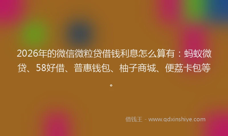 2026年的微信微粒贷借钱利息怎么算有：蚂蚁微贷、58好借、普惠钱包、柚子商城、便荔卡包等。