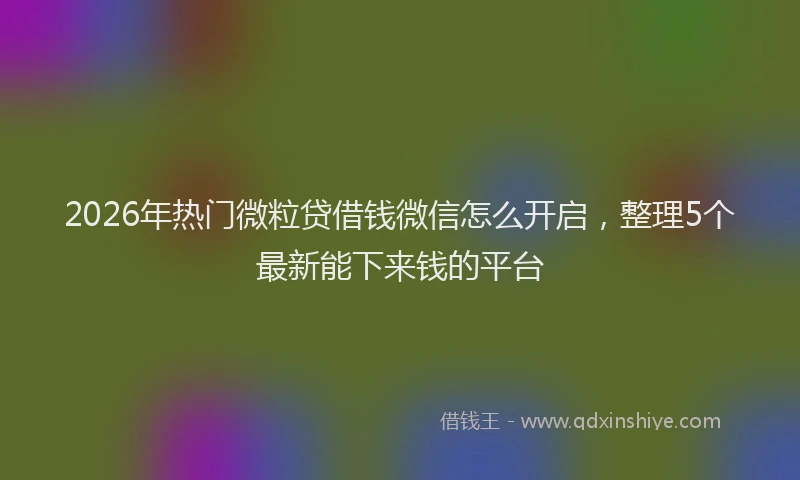 2026年热门微粒贷借钱微信怎么开启，整理5个最新能下来钱的平台
