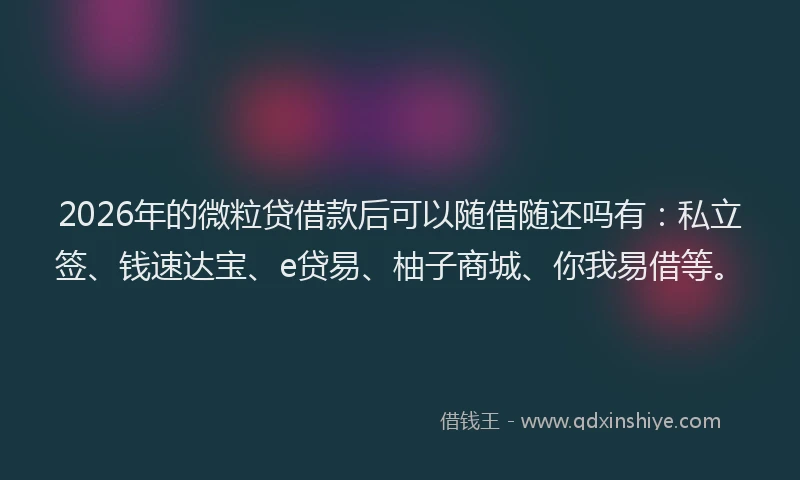 2026年的微粒贷借款后可以随借随还吗有：私立签、钱速达宝、e贷易、柚子商城、你我易借等。