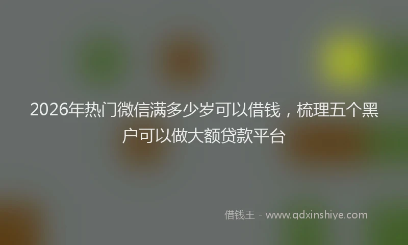2026年热门微信满多少岁可以借钱，梳理五个黑户可以做大额贷款平台